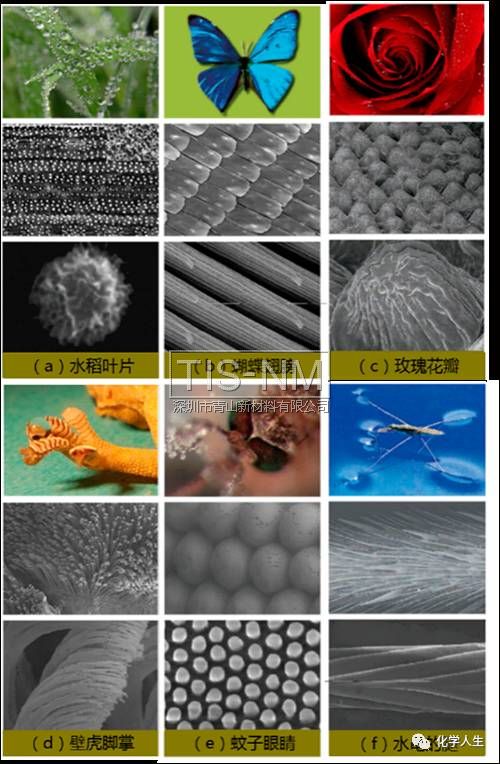 超疏水材料表面結構