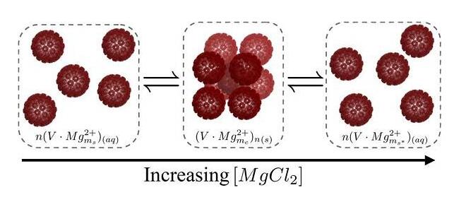 病毒納米顆粒的結晶、重入熔化和再增溶