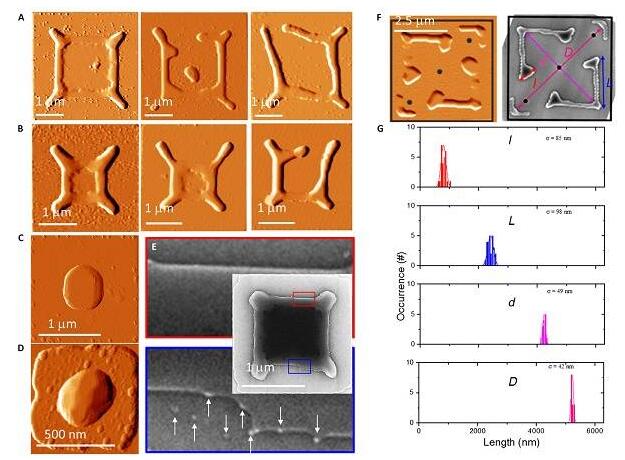 超薄Si膜的復雜去潤濕花樣用于構筑大規模納米結構