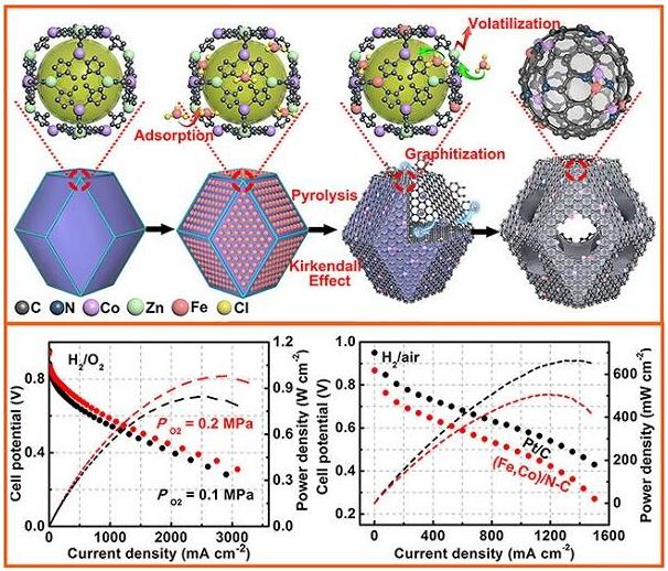 用于酸性氧還原反應的穩定且活性的PtFree催化劑