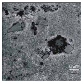 晶界、夾雜、位錯和異相組織