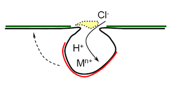 孔內金屬離子濃度增加