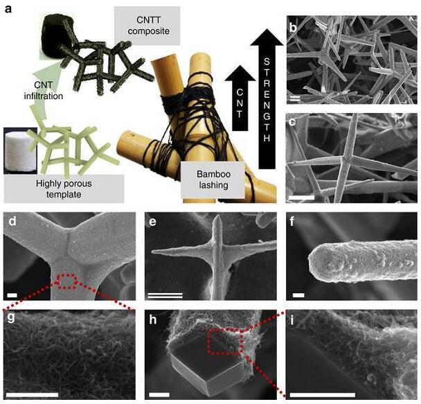 Nature Communications：分層自糾纏碳納米管網絡