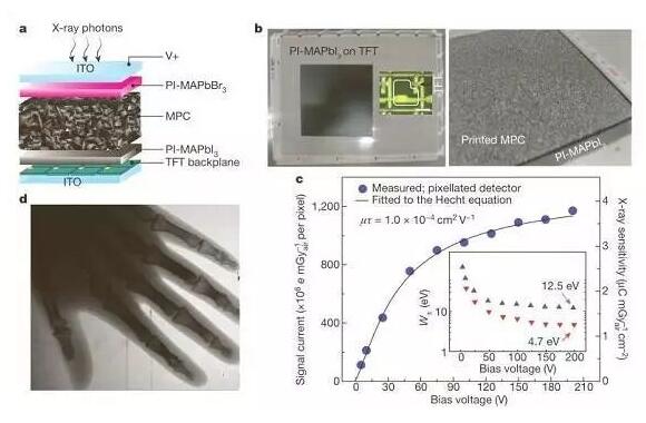 利用鈣鈦礦實現低劑量X射線成像