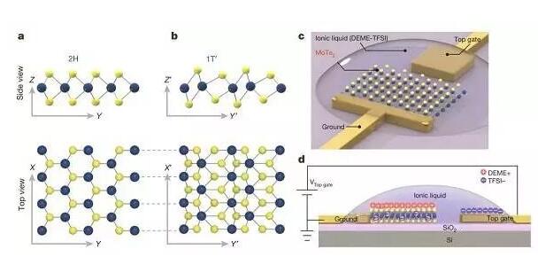 靜電摻雜驅動單層MoTe2結構相變
